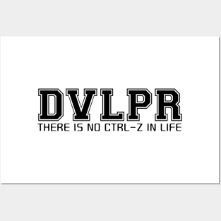 DVLPR: There is no ctrl-z in life Posters and Art